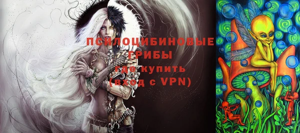прущая мука Няндома
