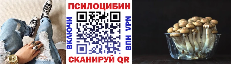 Псилоцибиновые грибы ЛСД  дарнет шоп  Тула 